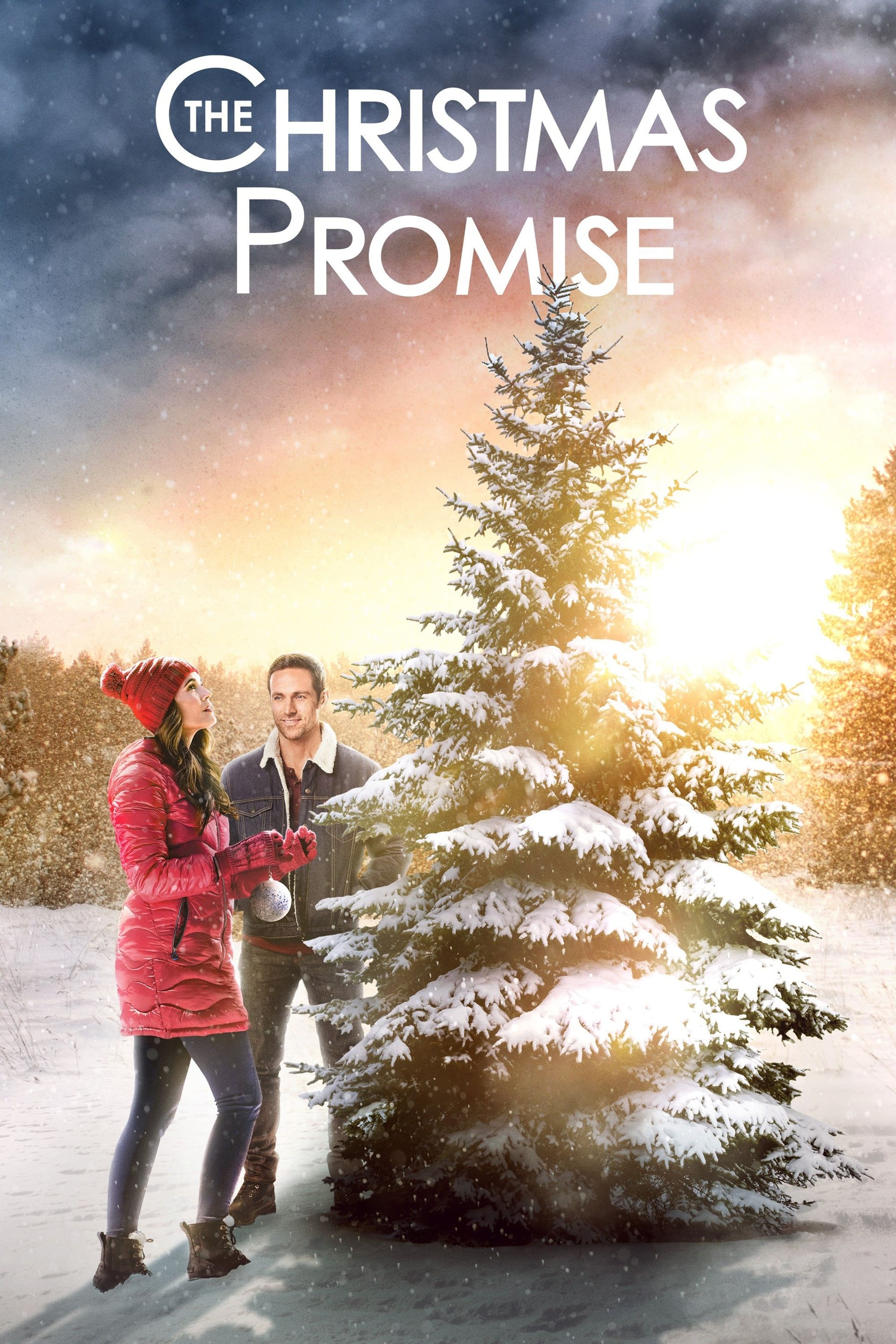 Постер The Christmas Promise